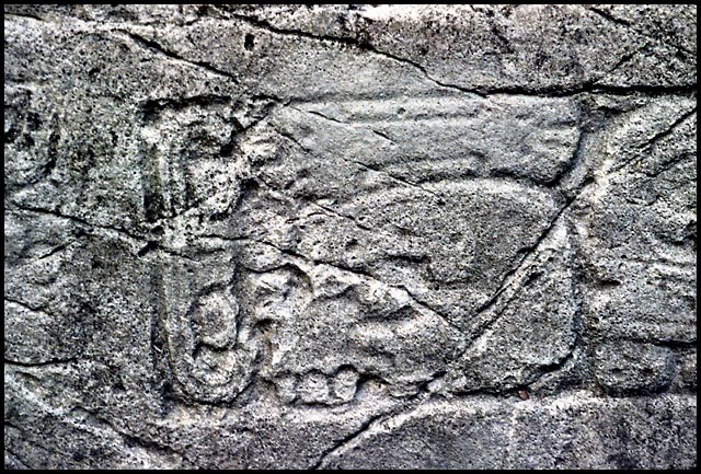 Palenque Photo