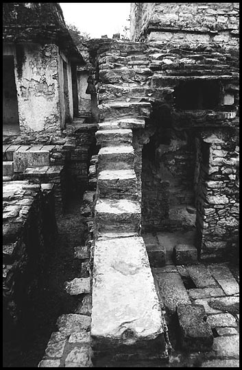 Palenque Photo