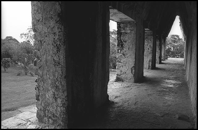 Palenque Photo