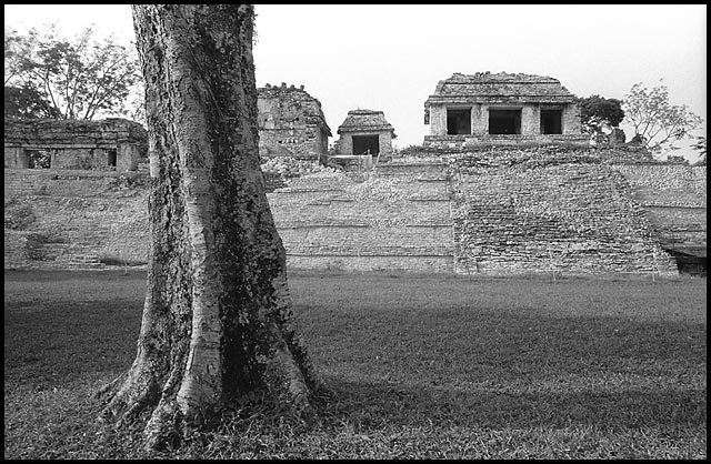 Palenque Photo