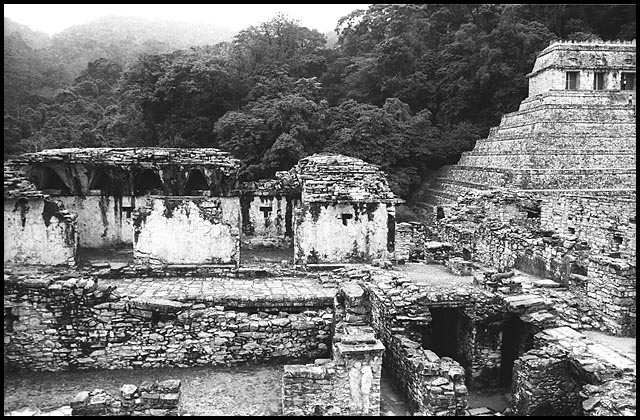 Palenque Photo